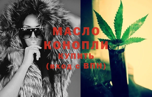 крисы Инта