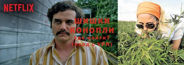 метадон Аркадак